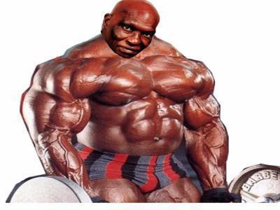 le plus gros